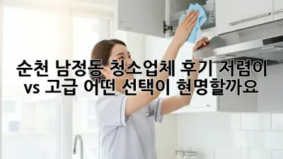 순천 남정동 청소업체 후기: 저렴이 vs 고급, 어떤 선택이 현명할까요?
